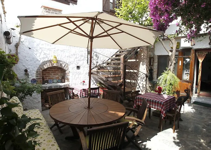 Nazhan 招待所 塞尔丘克