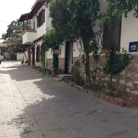 Nazhan Σελτσούκ